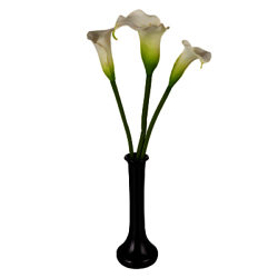 Peony Lilies in Black Vase